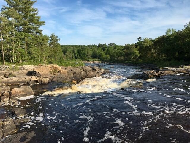 1ED51793-064B-414C-8C4D-95CC8141B46B