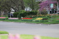 IMG 0742