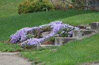 IMG 0769