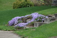IMG 0770