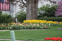 IMG 0803