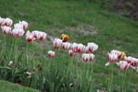 IMG 0817