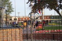 IMG 0847