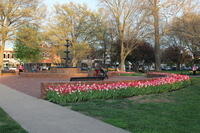 IMG 0848
