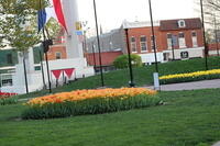 IMG 0868
