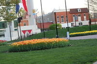IMG 0869