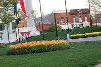 IMG 0870