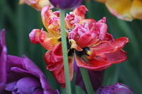 IMG 0883