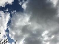 42EFE286-F440-4D78-AC07-674FBC9A1072