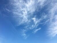 D9CE4147-15B4-443C-B8D6-1C8820662053