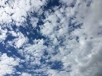 IMG 0108