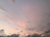 IMG 0132