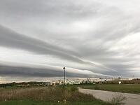 IMG 1056