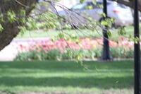 IMG 0573