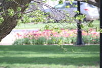 IMG 0574