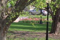 IMG 0577