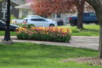 IMG 0581