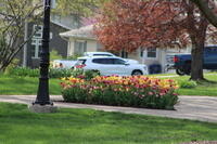 IMG 0587