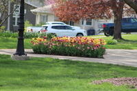 IMG 0589