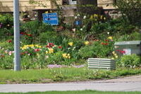 IMG 0606