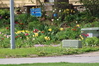 IMG 0607